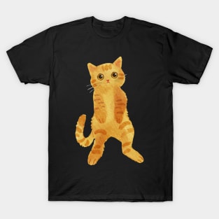 Pathetic Cat Looking for Cat Lover T-Shirt